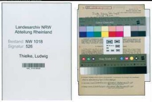 Entnazifizierung Ludwig Thielke , geb. 09.07.1889 (Technischer Angestellter)