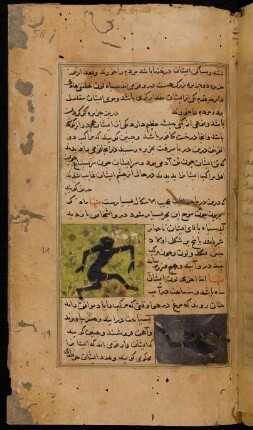 Illustration: f. 58r-59r