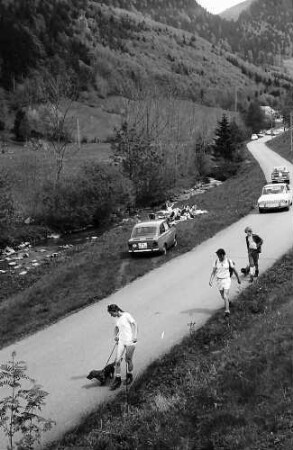 Straße mit Wanderern im Wilhelmertal