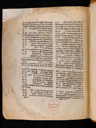 Samaritanischer Pentateuch : Fragment