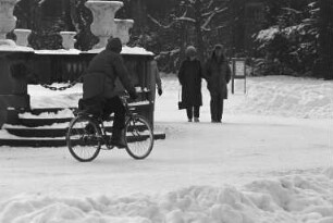 Wintereinbruch mit starkem Schneefall