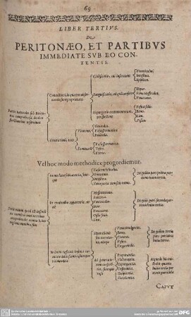 Liber Teritus. De Peritonaeo, et Partibus Immendiate sub eo Contentis.