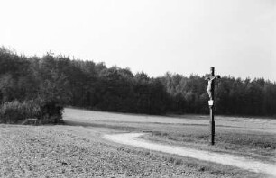 Nebelschütz-Piskowitz. Weg zum ehem. Windmühlenstandort
