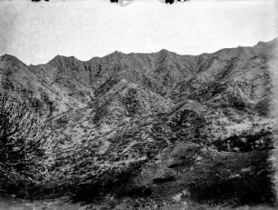 Bergkette : Bergkette mit Busch- und Strauchgewächsen