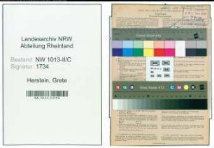 Entnazifizierung Grete Herstein , geb. 02.01.1908 (Schneiderin)
