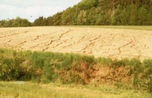 Fotografie: Wendende Bodenbearbeitung, Umweltschutz, Erosion