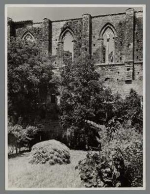 Ruine der Zisterzienserkirche Abbazia San Galgano, Chiusdino, Toskana