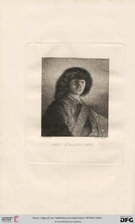 Albrecht Wallenstein, Herzog von Friedland