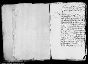 Grenzirrung zwischen Rustenfelde und Reiffenhausen