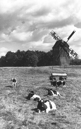 Oderwitz-Oberoderwitz. Neumannmühle, Bockmühle