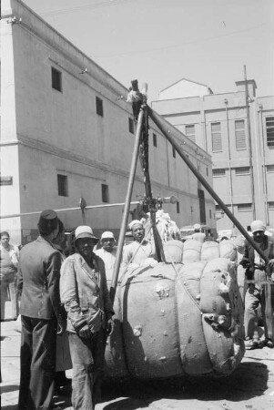 Reisefotos Orient. Jerusalem. Beim Verladen von Baumwollballen