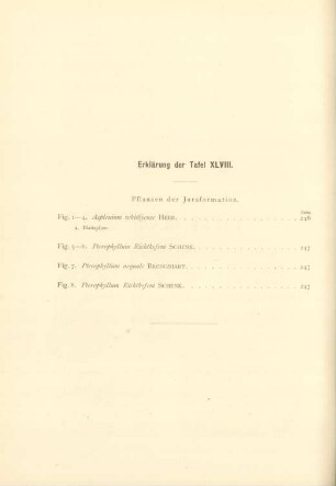 Erklärung der Tafel XLVIII.