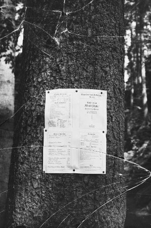 Lohmen-Uttewalde. Gaststätte Waldidylle im Uttewalder Grund. Aushang der Speisekarte an einem Baumstamm