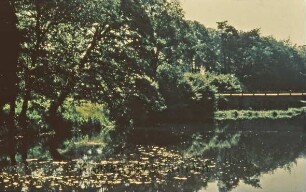 Wassergraben und Brücke