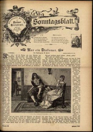 Ausgabe vom Sonntag, den 08. Dezember 1895.