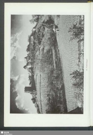 Neuleiningen