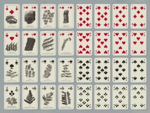 Kartenspiel zum Saarbrücker Bergmannskalender 1983: Versteinerungen