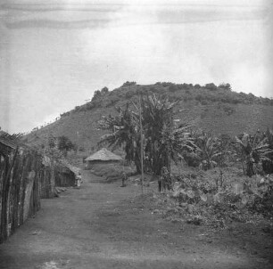 Ein Dorf : Dorf der Bubi im Hochland von Moka, dahinter Felder mit Yams und Taro.