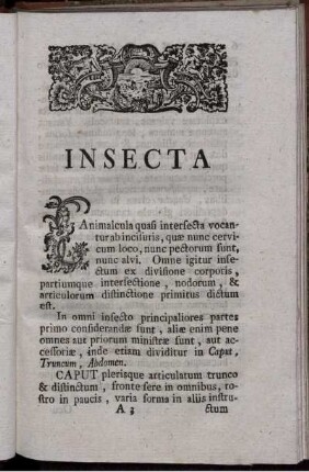 Insecta