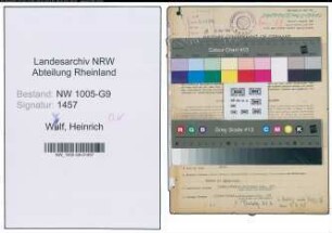Entnazifizierung Heinrich Wulf , geb. 06.07.1897 (Stukkateur)