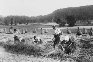 Getreideernte am Glösenstein : Steinbach bei Jöhstadt. Getreideernte am Glösenstein