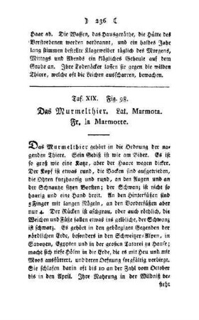 ¬Das¬ Murmelthier : Taf. XIX, Fig. 98