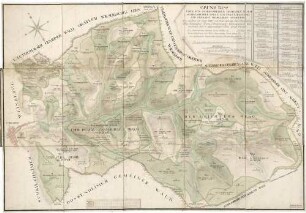 Grund-Riss über den Schriesheimer Gemeinen Wald Schriesheimer Forst, zur Forstmeisterei und Oberamt Heidelberg gehoerig