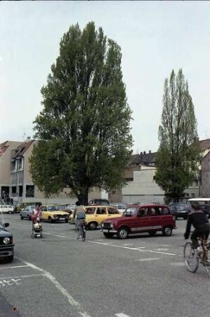 Freiburg i. Br.: Pappel auf dem Parkplatz an der Wohlebbrücke