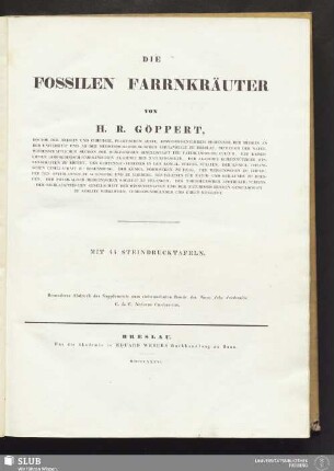 Die fossilen Farnkräuter : mit 44 Steindrucktafeln