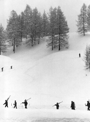 Seefeld Tirol. Skifahrer am Hang