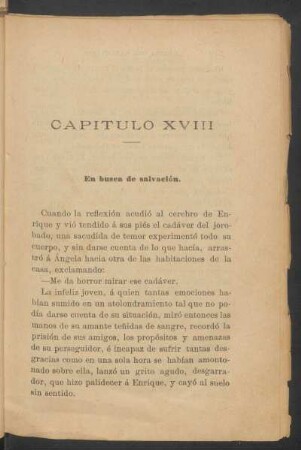 Capítulo XVIII - En busca de salvación.