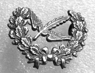 Ehrenabzeichen Deutsche Stenografenschaft (mit Broschennadel) : Sammlung Beinhorn. Ehrenabzeichen Deutsche Stenografenschaft (geflügelte Feder in halbem Eichenkranz, mit Broschennadel). Bronze, versilbert; Maße 25 x 32 mm (1933/1943). Dresden: SLUB R c 0265