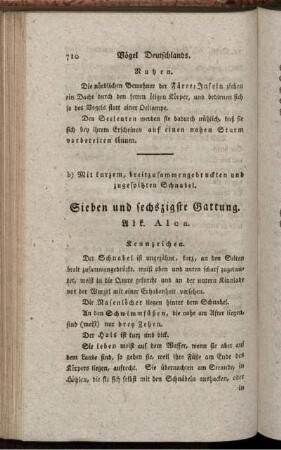 Sieben und sechszigste Gattung. Atk. Alca.