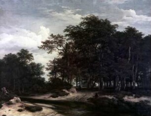 Waldlandschaft mit überschwemmtem Weg