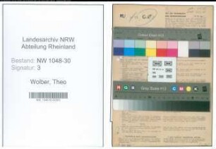 Entnazifizierung Theo Wolber , geb. 03.04.1899 (Schlosser)