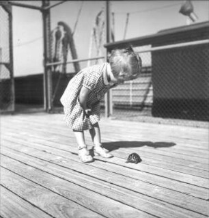 Kinderbilder. Kleines Mädchen (vermutlich die Tochter des Kapitäns Mausi Habedank) mit Schildkröte an Deck eines Passagierschiffes