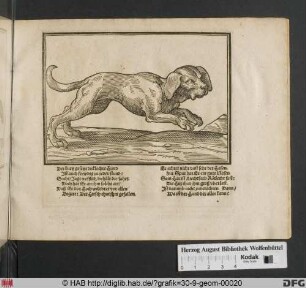 Ein Pointer, nach rechts gerichtet.