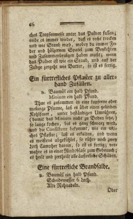 Ein fürtrefliches Pflaster zu allerhand Zufällen