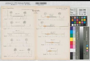 Bottrop (Bottrop) Essener Straßenbahnen Linie Borbeck - Bottrop Blatt 4 Querprofile 1895 1 : 100 33 x 42,5 Vervielfältigung mit Einzeichnung A. Philippi, Baurat KSM Nr. 1124,4