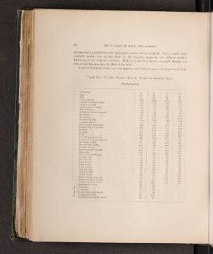 Table IX. - Waimea Plains, Hawaii, sandwich Islands, Chal. Brachycephali.