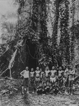 Gruppenportrait : Gruppenportrait mit zwölf Männern vor einem Baum mit stark ausgeprägten Brettwurzeln