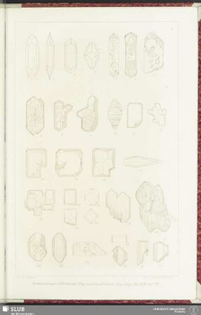 Taf. VII