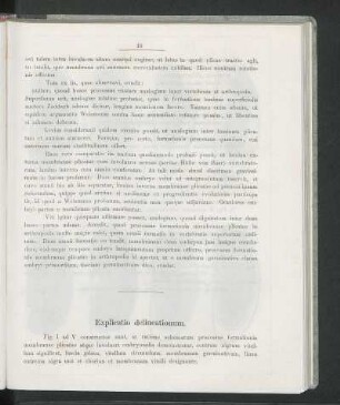 Explicatio declinationum.