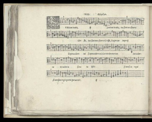 VIII. Sum tuus in uita