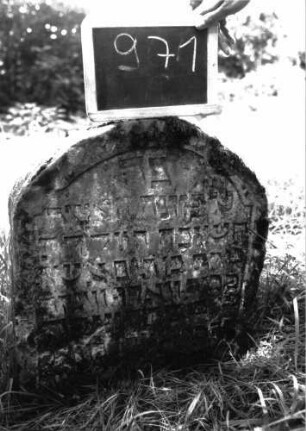 Grabstein 971 (Index: 100103899) Material: Sandstein Zustand: leicht verwittert, stark bewachsen, eingesunken Maße HxBxT: 58x52x10 cm Beschreibung: Stele, Segmentbogenabschluss, Schriftfeld eingetieft mit eingezogenem Rundbogenabschluss, eingesunken: Grabstein 971