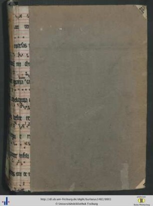 Expositio Gualterii de Burley anglici in libros octo de physico auditu Arist. stragerite