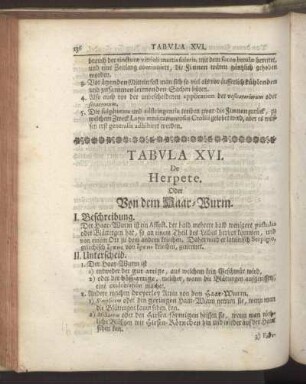 Tabula XVI. De Herpete. - Tabula XX. De Parotidibus.