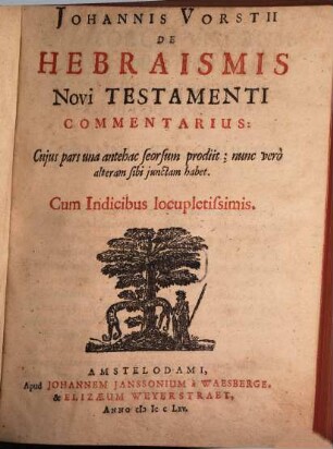 De hebraismis novi testamenti Commentarius