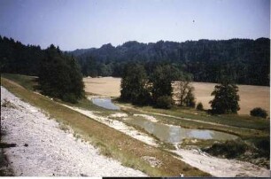 Amphibienteiche bei Prassberg