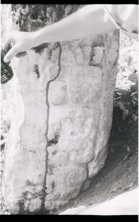 El Palmar, Stela 16 (PLM: St. 16)